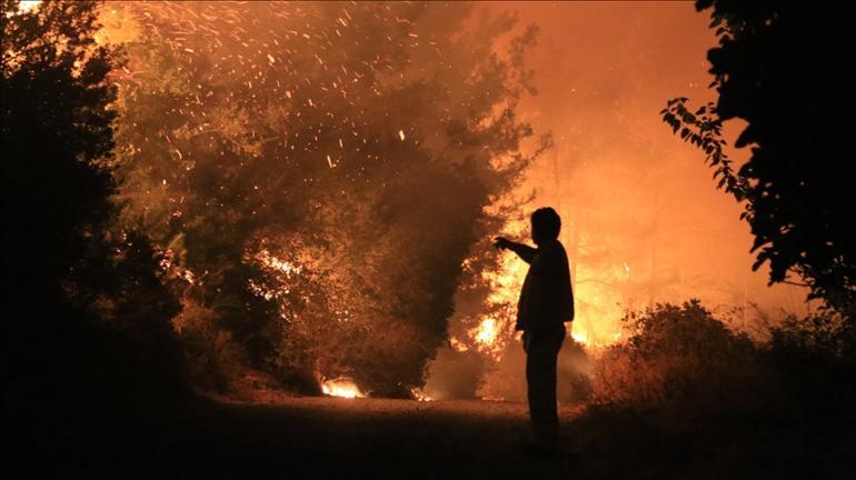 Turkey unites in fight against multiple forest fires