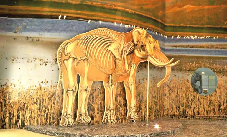 Museum offers tour of Anatolian chronology