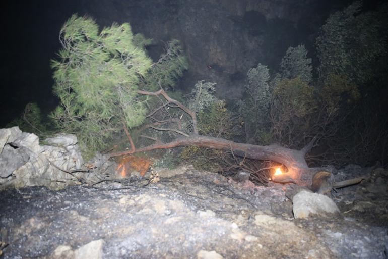 Efforts continue to put out forest fires as death toll rises