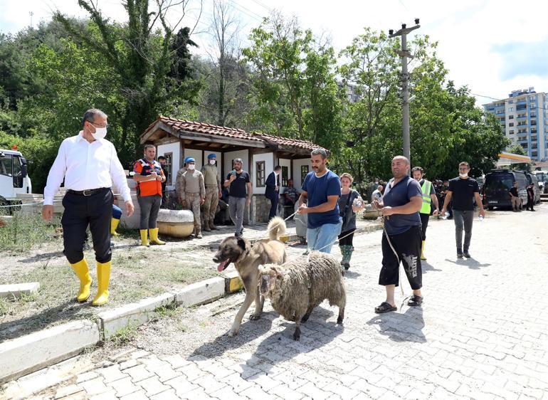 Flood-hit Black Sea provinces declared disaster areas as death toll rises