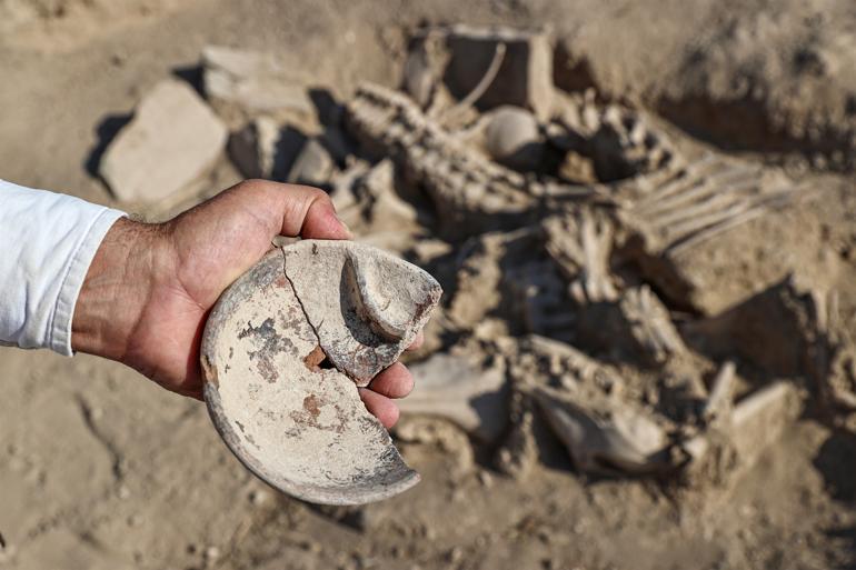Urartian grave excites archaeologists