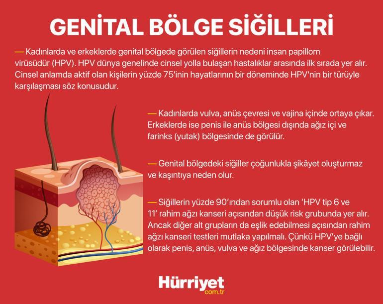 10 SORUDA SİĞİL DOSYASI | Kurbağa ellemekle bulaşır mı? Sirke sürmek ...