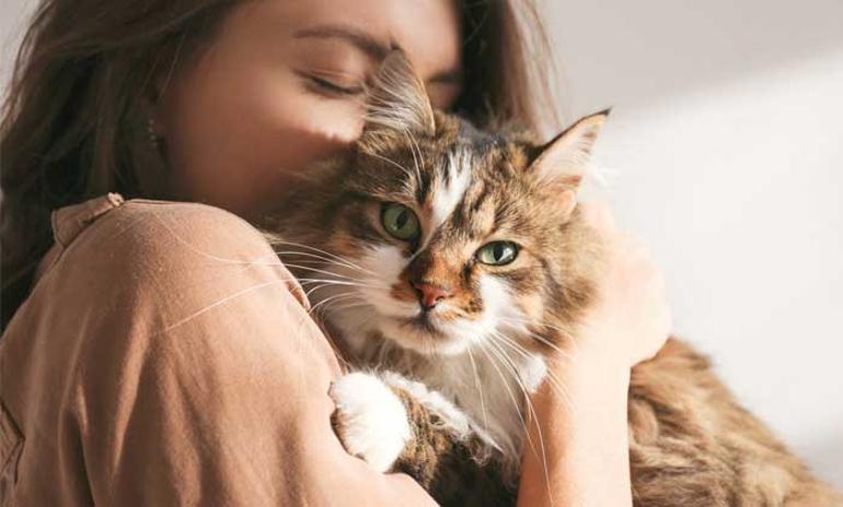 Kedilerin Bilmedi�imiz �zellikleri