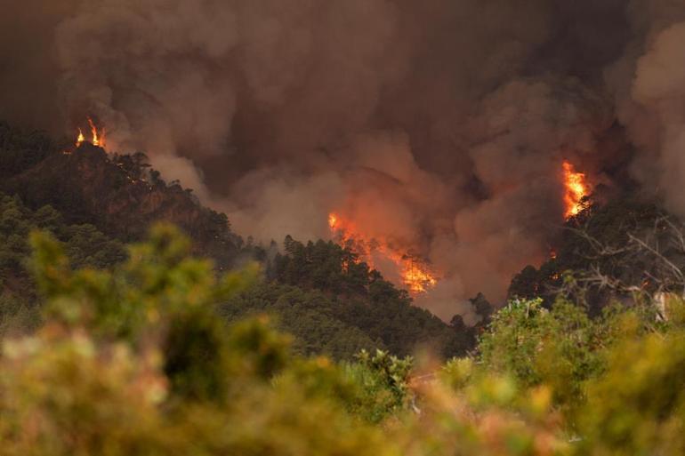 ¡Alerta España!  Un incendio crece en la isla de Tenerife