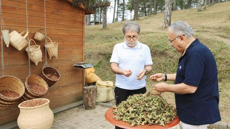 Ordu’da yapılacak en iyi 10 şey