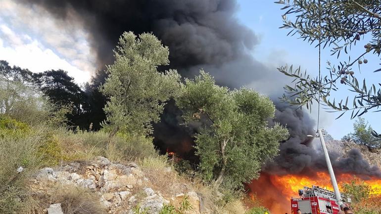 Muğla Fethiyede bungalovda çıkan yangın ormana da sıçradı: Çok sayıda ekip sevk edildi