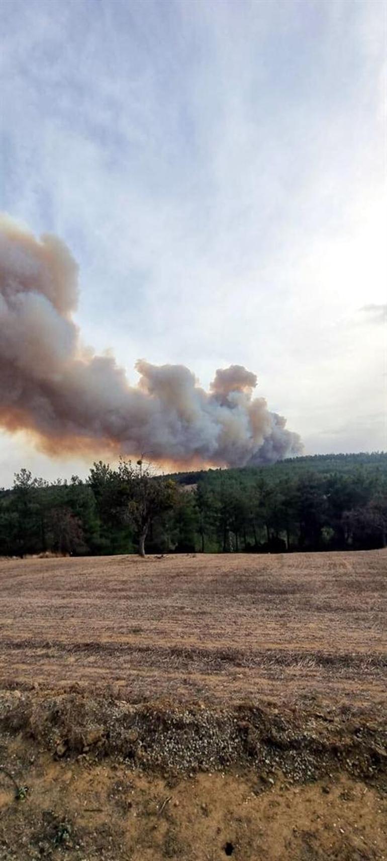 Çanakkale Geliboluda orman yangını: Ekipler müdahale ediyor