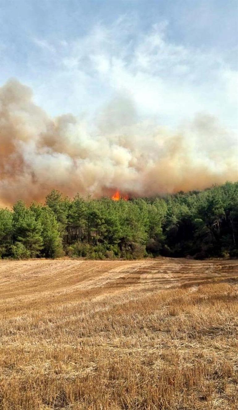 Çanakkale Geliboluda orman yangını: Ekipler müdahale ediyor