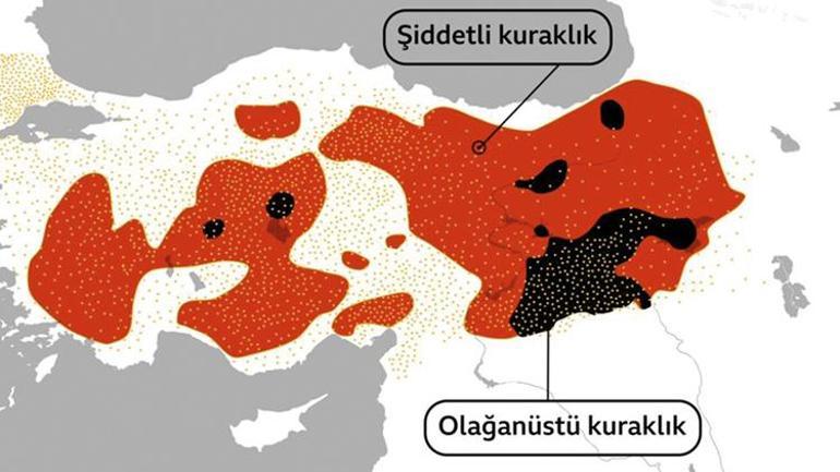 En sonunda kuşlar gitti... Kapımızdaki tehlike