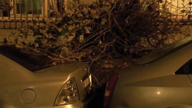 İstanbulda yağış ve fırtına hayatı olumsuz etkiledi Ağaç otomobilin üzerine devrildi, inşaat paneli devrildi