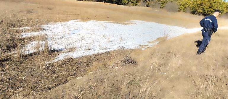 Dilan��n kremleri bal orman�nda m�... Kamyon kamyon d�kt�ler iddias�