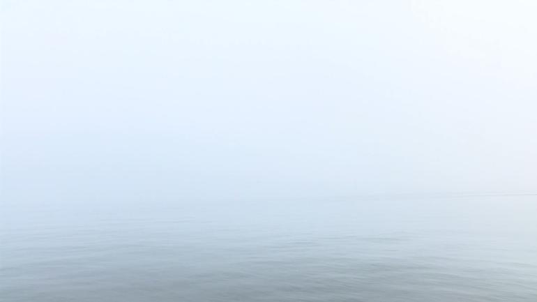 65e56d3e1f70a32918c82e82.jpg