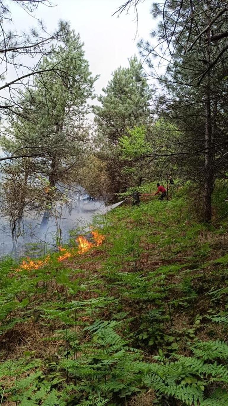 Kastamonuda korkutan orman yangını: Müdahale ediliyor