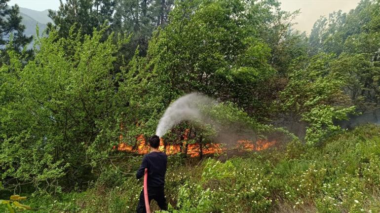 Kastamonuda korkutan orman yangını: Müdahale ediliyor