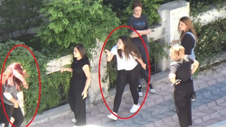 665c7145b9189cb249515261.jpg
