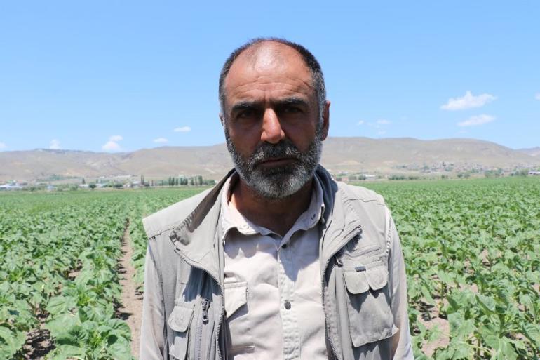 Canlarını hiçe saymışlar 2 pilot şehit olmuştu... Düşen uçağa müdahale eden vatandaş o anları anlattı