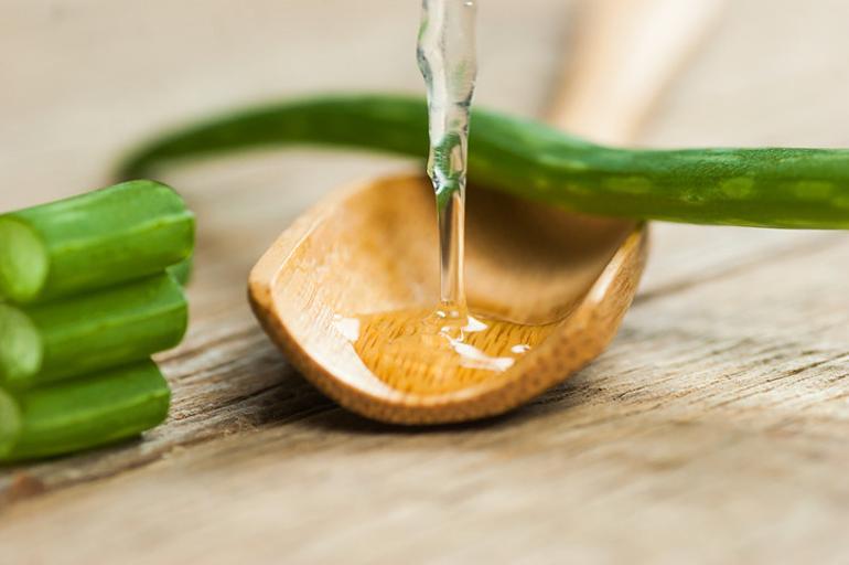 Topraktan çıkarıp elimize yüzümüze sürüyoruz Aloe vera gerçekten cilt için faydalı mı yoksa abartılıyor mu
