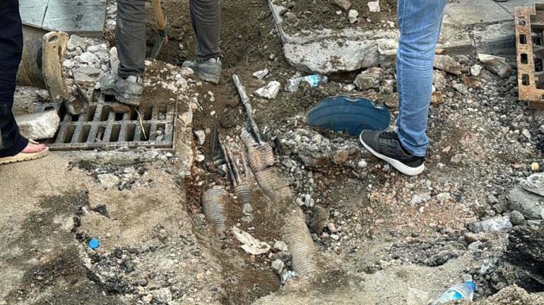 İzmirdeki facia Türkiyenin gündemine oturmuştu... Özge Cerenin babası: Bilinçli taksir değil olası kast ile cinayet