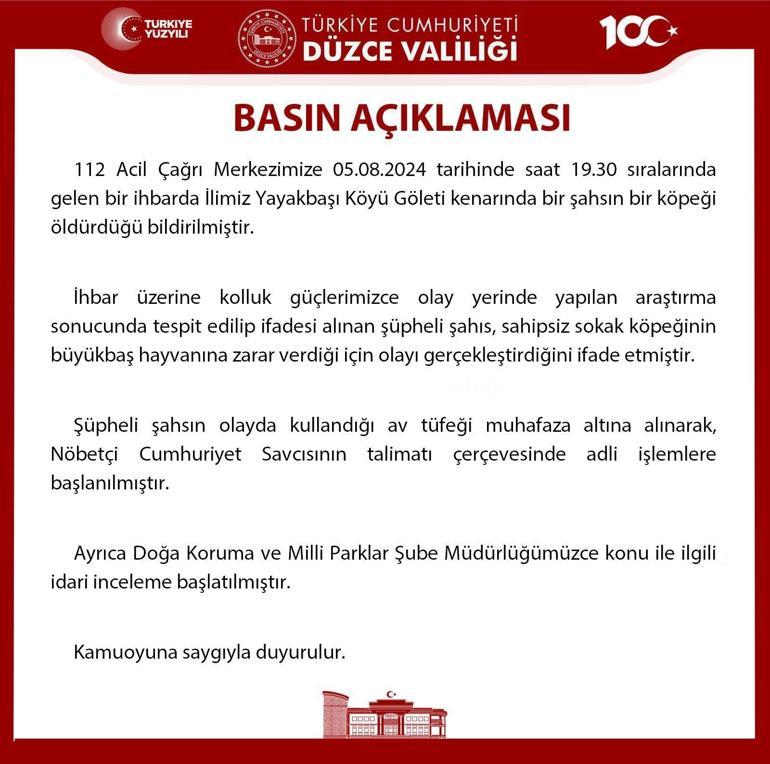 66b1ca818d678ec0c61e9252.jpg