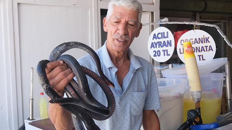 Beslediği yılanlarla şov yaparken ısırılmıştı Yılancı Osman’ın hayatından aile dramı çıktı