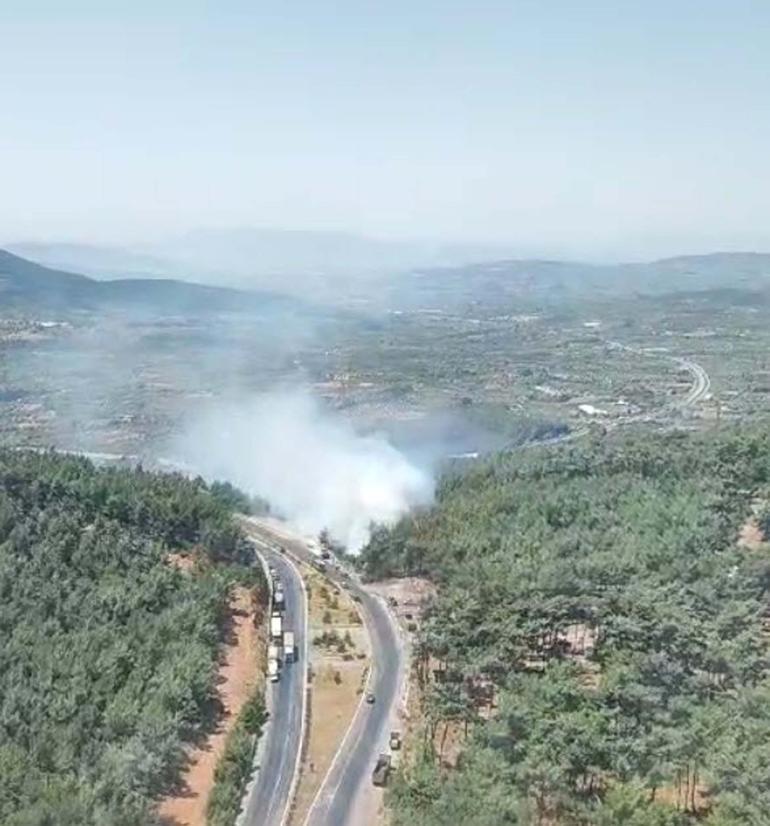 İzmir Kemalpaşada orman yangını