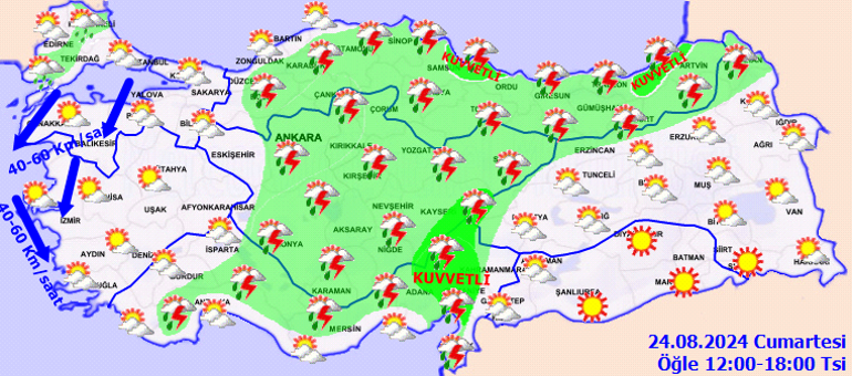 66c99772bd382c6d339df030.jpg