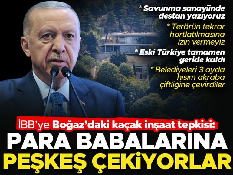 66cb15debd382c6d339df530.jpg