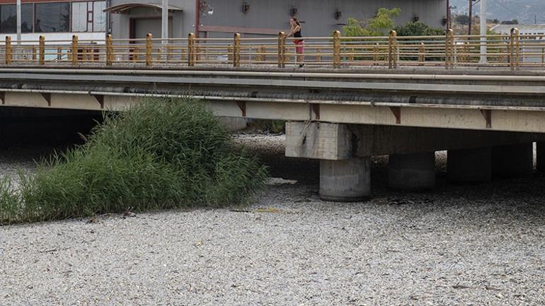 Yunanistanda binlerce ölü balık paniği: OHAL ilan edildi