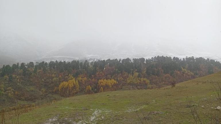 67120122d7429e1ced79f191.jpg