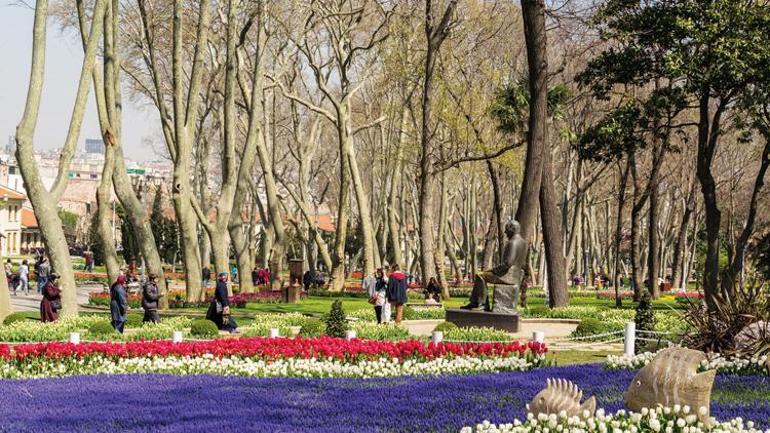 Sadece bir tane kaldı... İşte Nazım’ın Gülhanede’ki ‘ceviz ağacı’