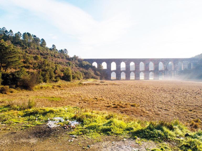 Tarım ve Orman Bakanı İbrahim Yumaklı tarih verdi: İki yıl işlenmeyen arazi kiralanacak