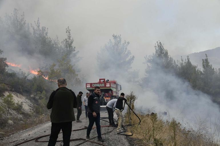 Bursa’nın Büyükorhan ve Karacabey ilçelerinde orman yangını Balıkesire sıçradı