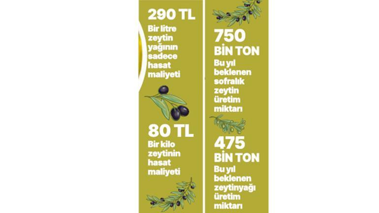 Kahvehanede, yol kenarında, berberde bile satılıyor... Zeytinyağındaki tehlikeye dikkat