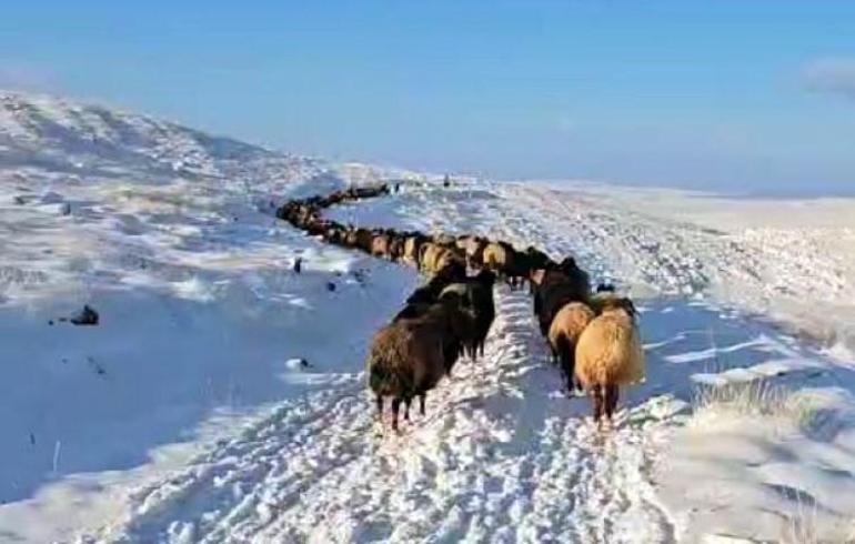 Aynı ilde iki mevsim: Birinde soğuk hava ve kar diğerinde deniz keyfi