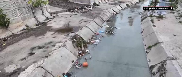 İstanbulda tepki çeken görüntü: Ganj Nehrine benzetildi... Kadıköye dökülen dere can çekişiyor