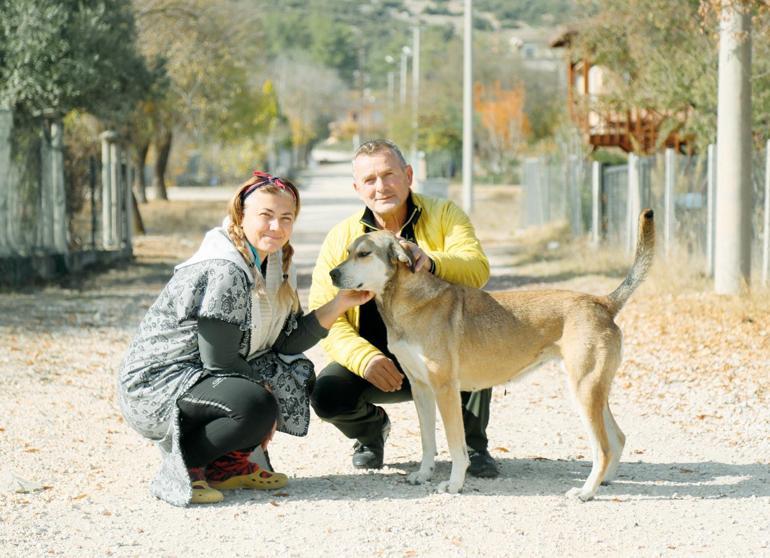 6 aylık yavru köpekleri öldürüldü vicdansız komşu