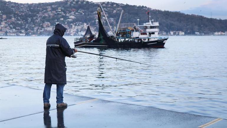 Fiyatı cep yakıyor... Balık bol ama lüfer yok