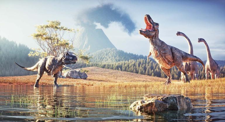 Doğal yaşamın dünü, bugünü, geleceği