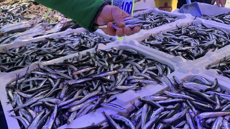 Karadenizde havalar soğudu, hamsi fiyatları düştü... İşte tezgahtaki satış fiyatı