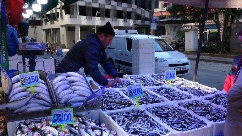 Karadenizde havalar soğudu, hamsi fiyatları düştü... İşte tezgahtaki satış fiyatı