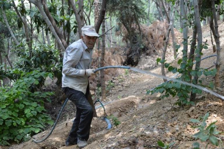 Emekli olduktan sonra başladı, 30 bine ulaştı: Şeyhmus Amcadan herkese örnek olacak adanmışlık