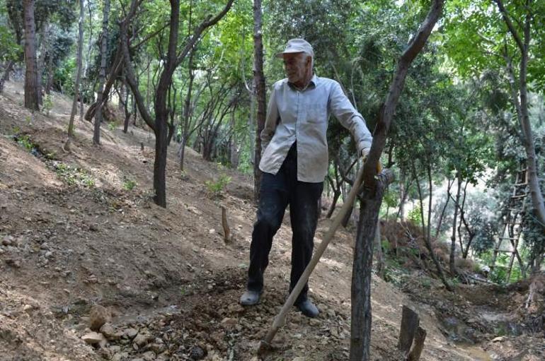 Emekli olduktan sonra başladı, 30 bine ulaştı: Şeyhmus Amcadan herkese örnek olacak adanmışlık