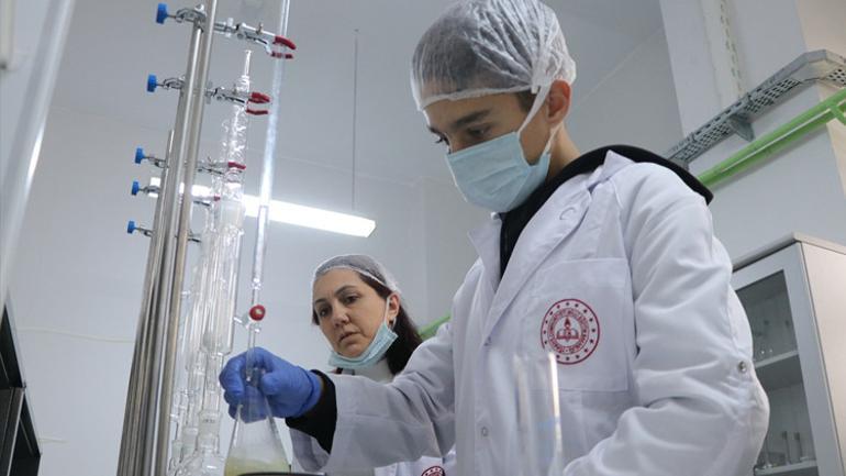 Şarköylü öğrenciler zeytinyağı üretiyor... Patent başvurusu yaptılar