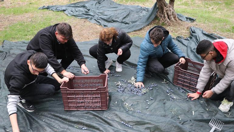 Şarköylü öğrenciler zeytinyağı üretiyor... Patent başvurusu yaptılar