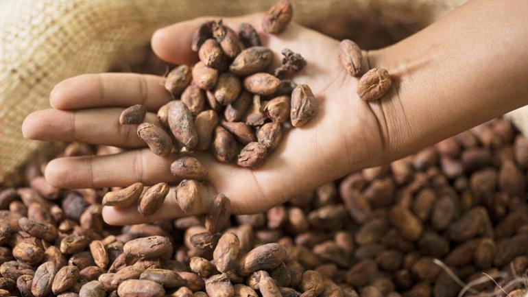 Çikolata yerine dolgusunu yiyeceğiz