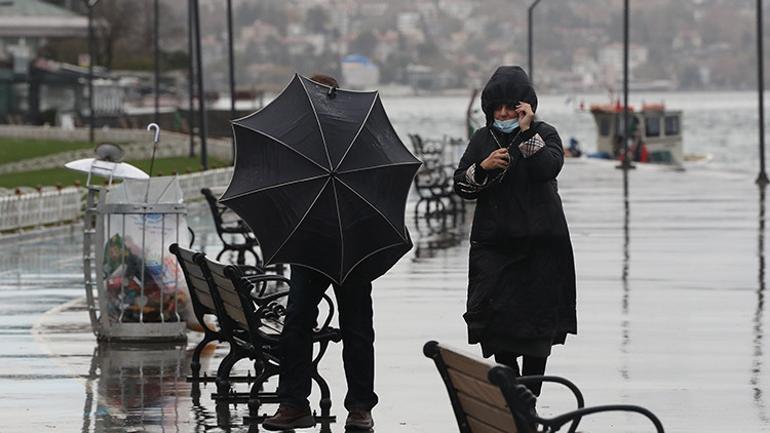 67763e22cf40174d5dfc782a.jpg