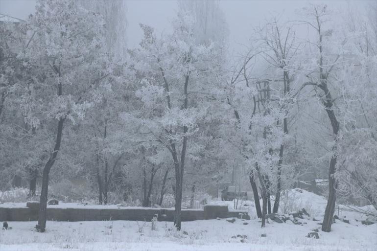 Anadolunun Sibiryası: Her şey buz tuttu Hava sıcaklığı eksi 28e düştü; ağaçlar dondu, otomobiller muşambayla kaplandı