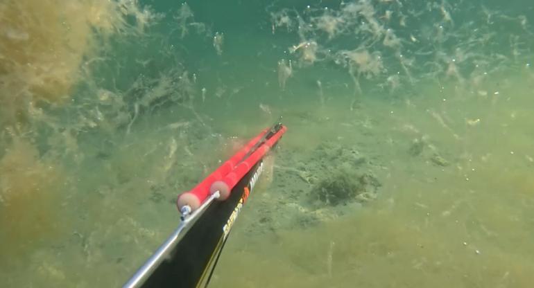 İstanbulda tedirgin eden müsilaj görüntüsü