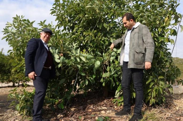 Profesör baba ile doktor oğlu el ele verdi: Yılda 30 ton üretim yapıyorlar | Burada olmaz diye yanlış bir algı var