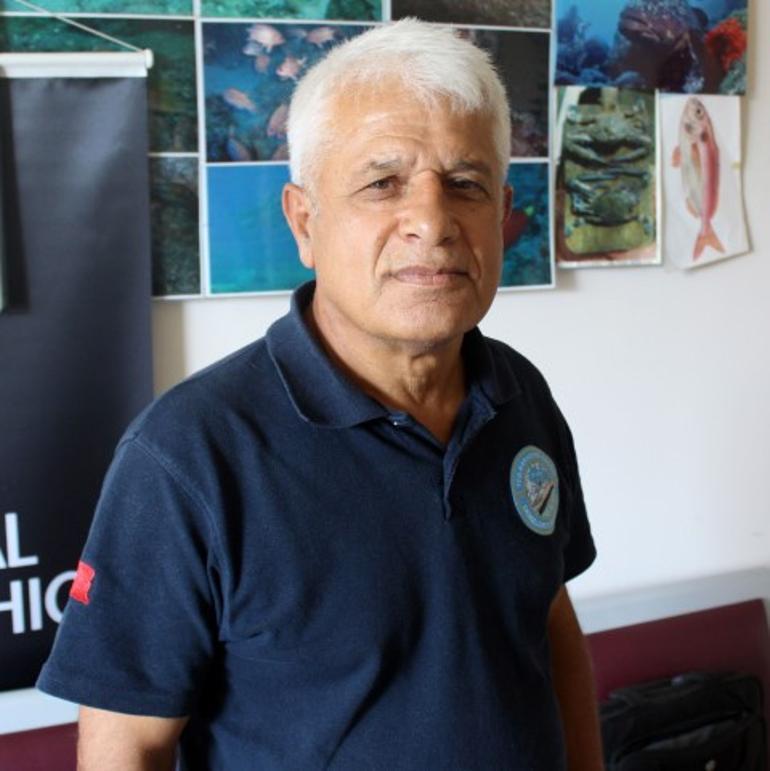 Sahillerde alarm verildi Siyanürden daha tehlikeli: İmha etmek yerine karaya bıraktılar